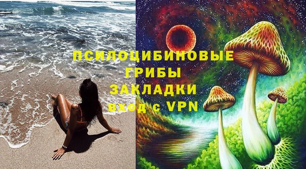 бошки Пролетарск